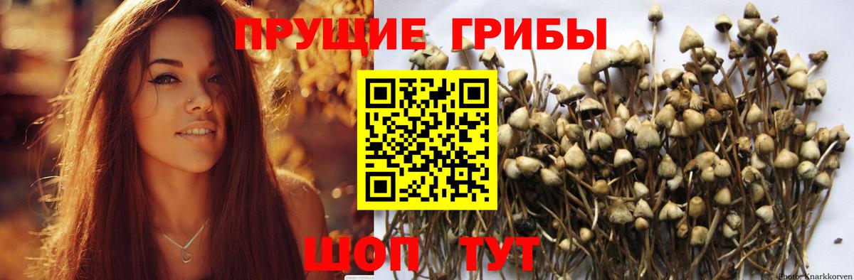 закладки  Галлюциногенные грибы ЛСД  Вход с VPN  Избербаш 